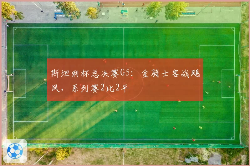 斯坦利杯总决赛G5:金骑士客战飓风,系列赛2比2平